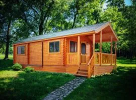 Family Cabin