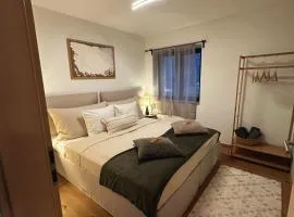 Casita3922, Tor zu Zermatt, Saas-Fee und Visp, Work and Chill Apartement - Nähe Lonza, Free Parking