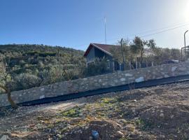 Suf Hills Cabin, hotel u gradu Džeraš