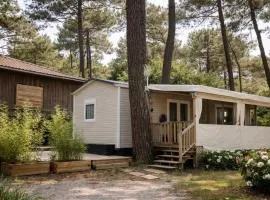 La cabane des pins
