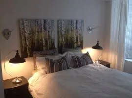 Trendy Queen West Area FIFA rental