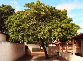 Pousada - Árvore da Vida