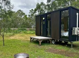 Mirror Reflections 2 by Tiny Away