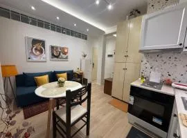 Myslym Shyri cozy lovely Central Orange Apt
