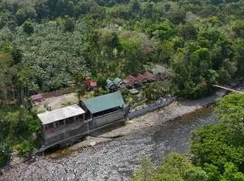 Asim Paris Guesthouse & jungle trekking