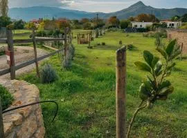 Euzoea Country Home 3