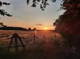 Ferienhaus in Clenzer Schweiz
