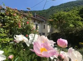 Le verger d'Aglaé&Michel