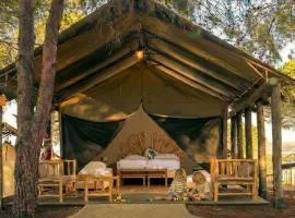 Ortal Glamping