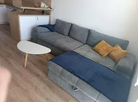 Cozy apartment near nature