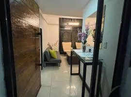 Modern Cozy Apartment in the Heart of the City