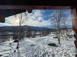 New! Cozy mountain cabin near Hardangervidda