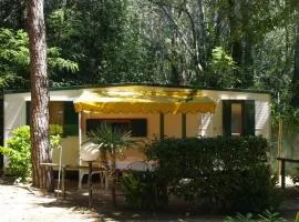 Camping Valdor Camper & Pitch