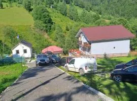 Casa Tudor Dâmbovicioara