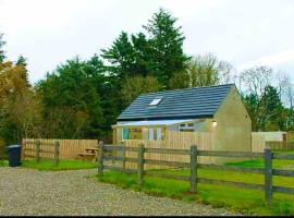 Forest View Cottage - Private Hot Tub, Hotel in Ballynameen