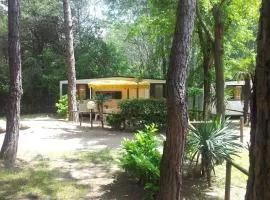 Camping Valdor Camper & Pitch