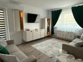 Rox Mountain View Apartament