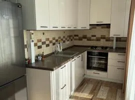 Apartament Buiucani