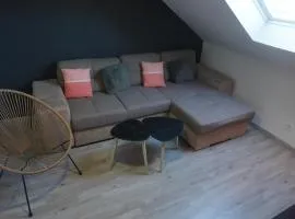 Appartement familial de ville