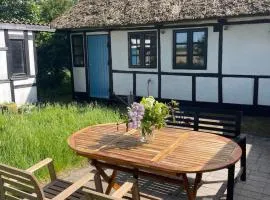 Birkehuset, ein gemütliches Haus auf dem Land