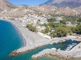 Myrtos Olive Seaside Villa