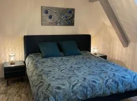 Le Cosy Green - centre-ville