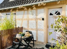 S'Hiesele petite maison alsacienne typique, hotel en Ittenheim