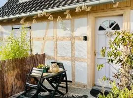 S'Hiesele petite maison alsacienne typique