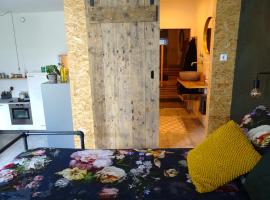 Luxurious appartement with sauna and kitchen in center of Dordrecht, hotel di Dordrecht