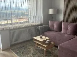 Pavla's Cozy Apartment - Haidmühle !from April 15th scaffold in front of the balcony - reflected in price"