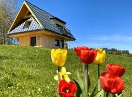 Domek Tatry - Stacja Wierchowa 972 m