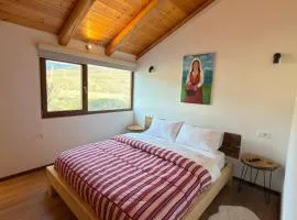 Guesthouse Koleci - Mrizi Zanave