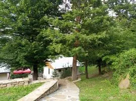 Къщички в гората