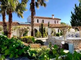 Buena Idea - Adults Only