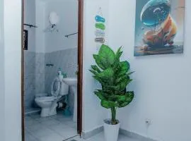 Safari home 1