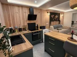 Studio chaleureux, massage, ciné, bain