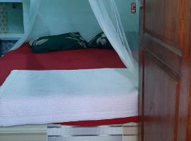 Dendi guest house & orang utan explore, хотел в Букит Лаванг