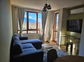 Panorama View