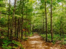 Brandy Bay Hideaway: Pet Friendly Retreat, hotel u gradu Arbor Vitae