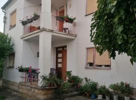 Kuca za odmor Marina Jelenkovic, hotel u gradu Knjazevac.