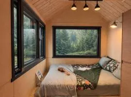 Tiny House Retreat Mountain View Bicazul Ardelean