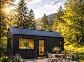 Tiny House Retreat Mountain View Bicazul Ardelean