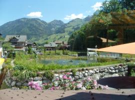 Vista Resort Hotel, hotel v destinaci Zweisimmen