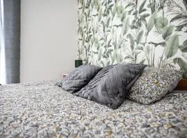 AbraCadabra Flat France Suisse