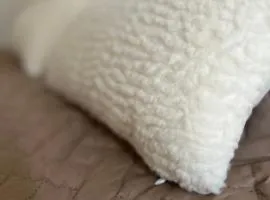 FA alojamiento urbano