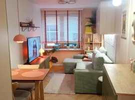 Retro Studio Centrum