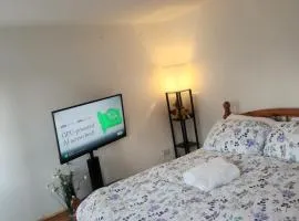 Oxford cowley city lux apartment with parking