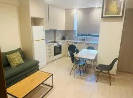 Brown Port 2 bedroom 2wc flat