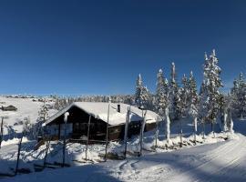 Utsikt mot fjellene Ski in out 16 sengeplasser, hotel din Aurdal
