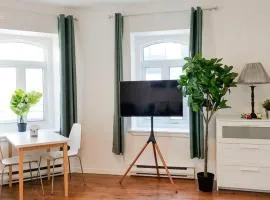 La Vie en Rose Cozy Suite #3 in Downtown Quebec
